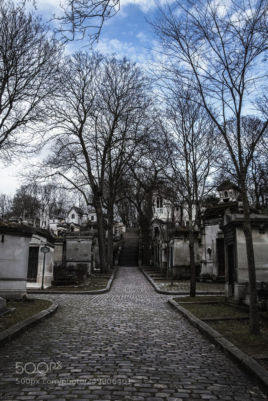 Canon EOS 750D (EOS Rebel T6i / EOS Kiss X8i) sample photo. City of bones photography
