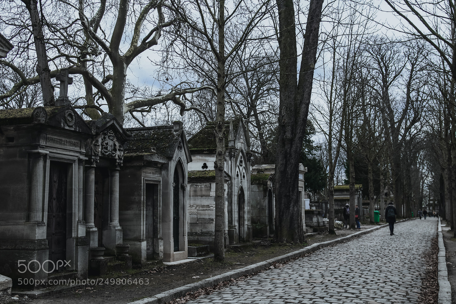 Canon EOS 750D (EOS Rebel T6i / EOS Kiss X8i) sample photo. City of bones photography