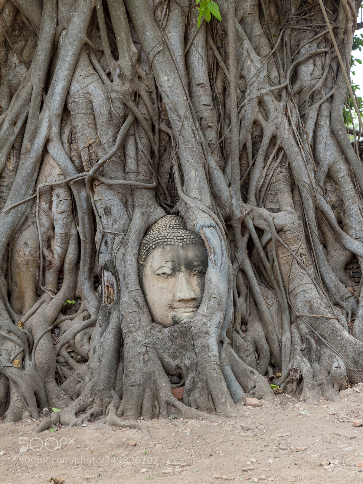 Canon EOS 1300D (EOS Rebel T6 / EOS Kiss X80) sample photo. Ayutthaya historical park photography