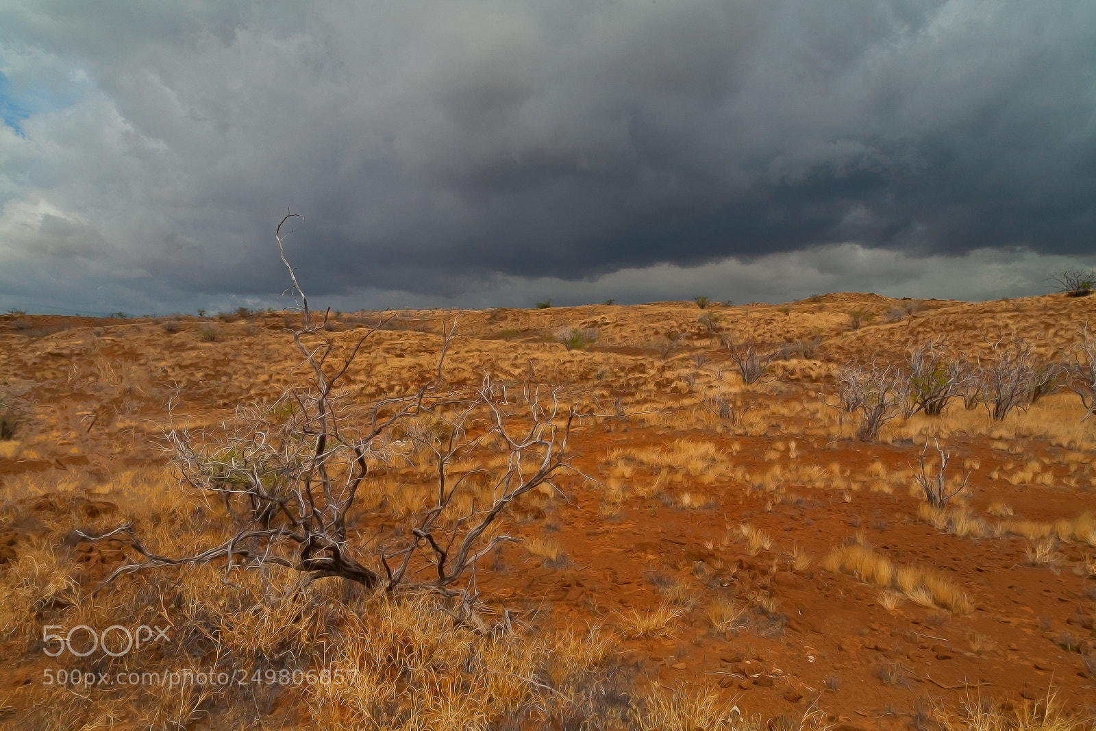 Canon EOS 5D sample photo. Big island photography