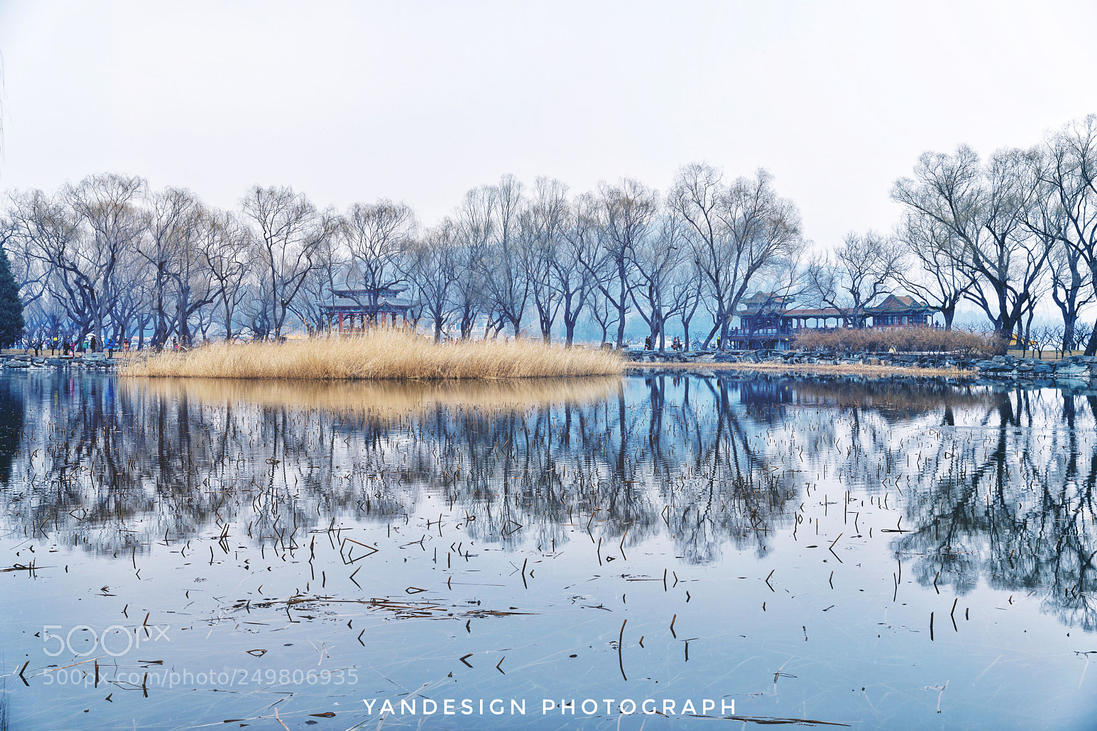 Canon EOS 5D Mark IV sample photo. Pure photography