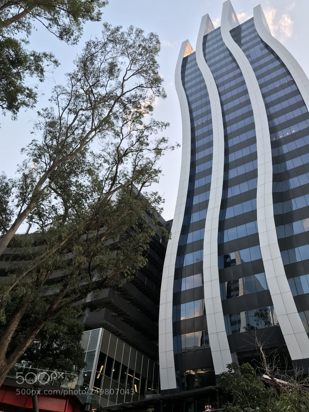 Apple iPhone 7 Plus sample photo. Untitled photography