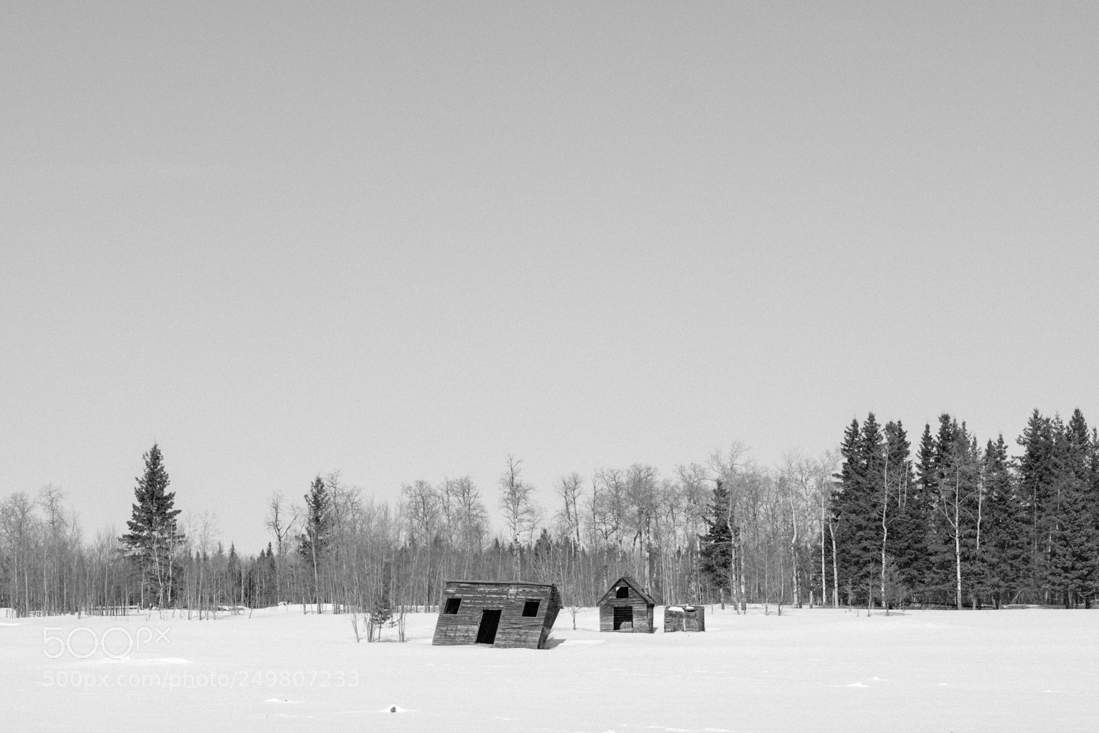 Fujifilm X-H1 sample photo. Northern alberta winter photography