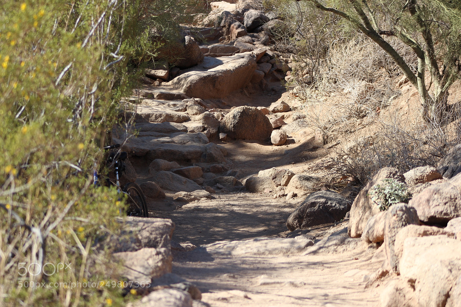 Canon EOS 600D (Rebel EOS T3i / EOS Kiss X5) sample photo. Stairs of stone photography
