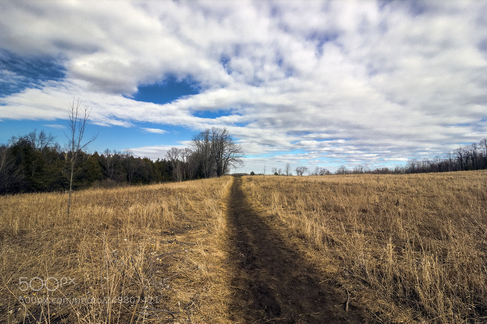 Canon EOS 550D (EOS Rebel T2i / EOS Kiss X4) sample photo. Mono cliffs photography