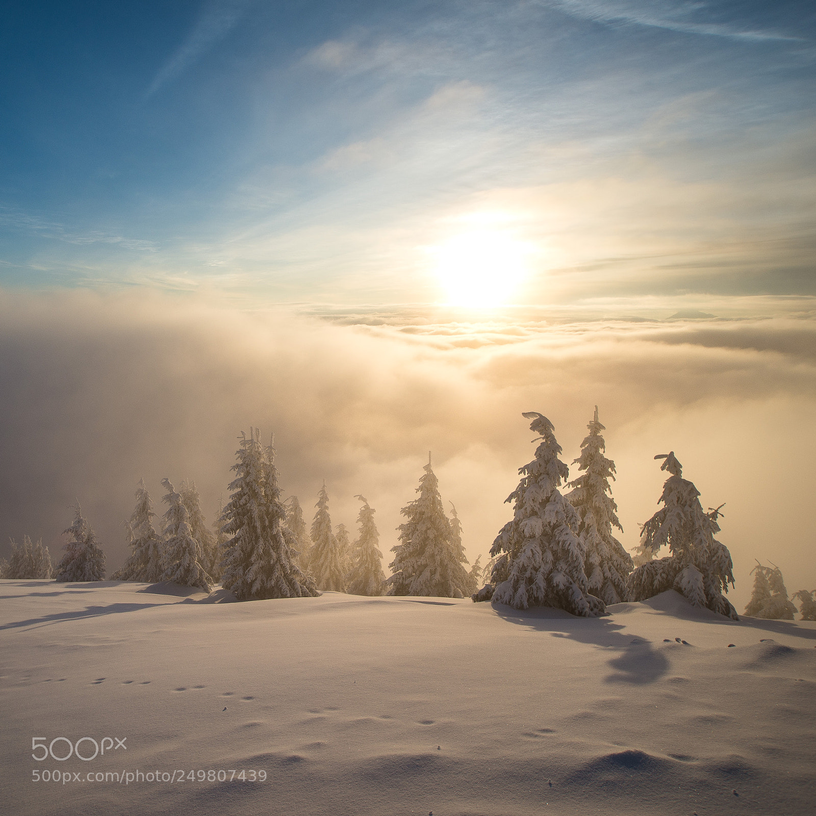 Nikon D610 sample photo. Snowy morning sunrise photography
