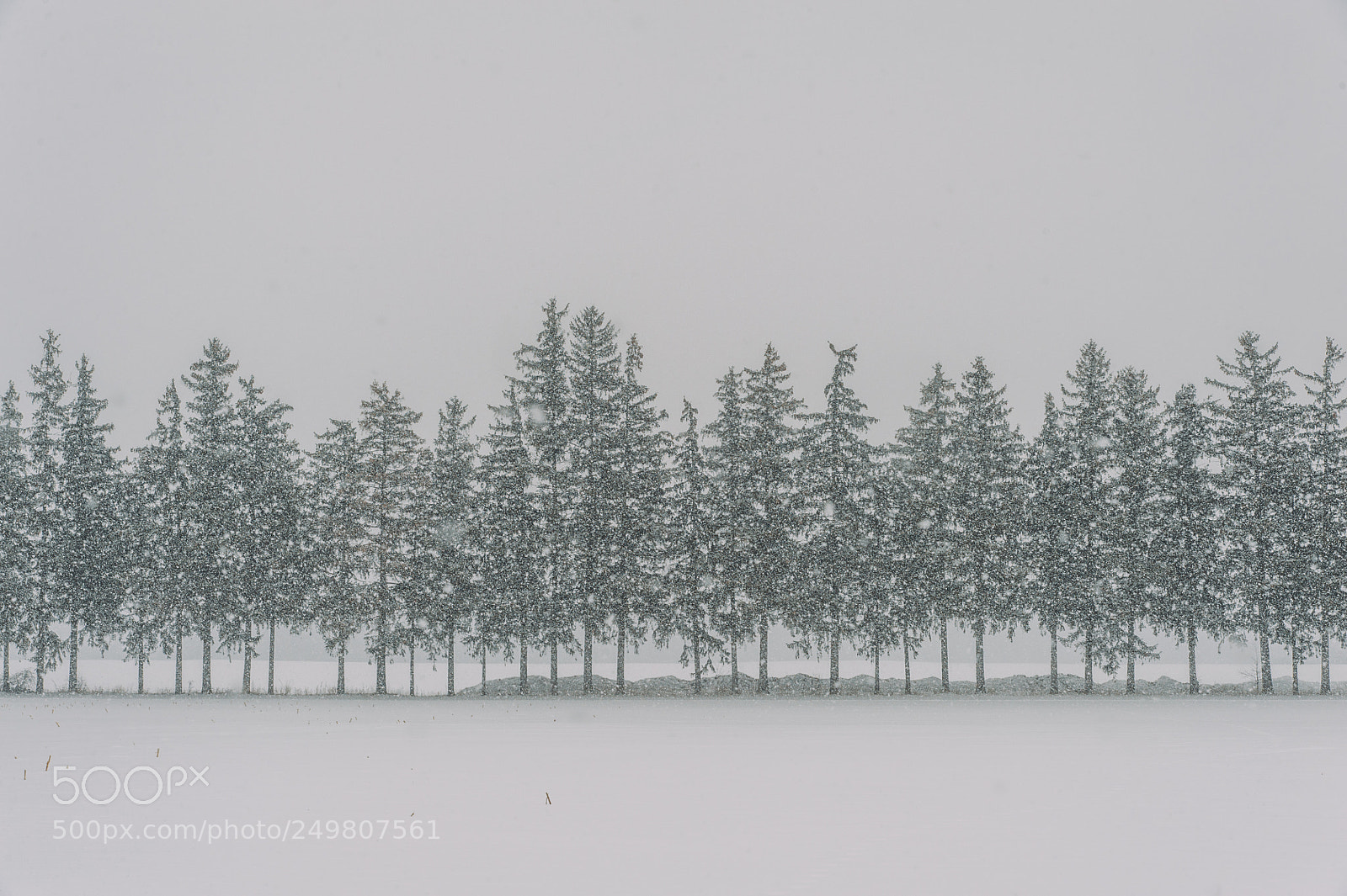Nikon D700 sample photo. Winter landscape in ontario photography