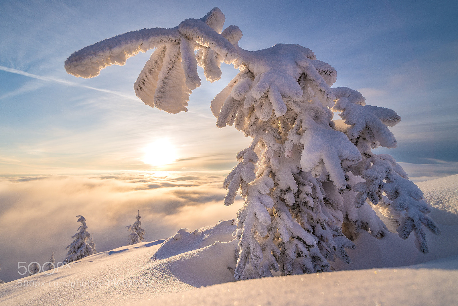 Nikon D610 sample photo. Magic winter land photography