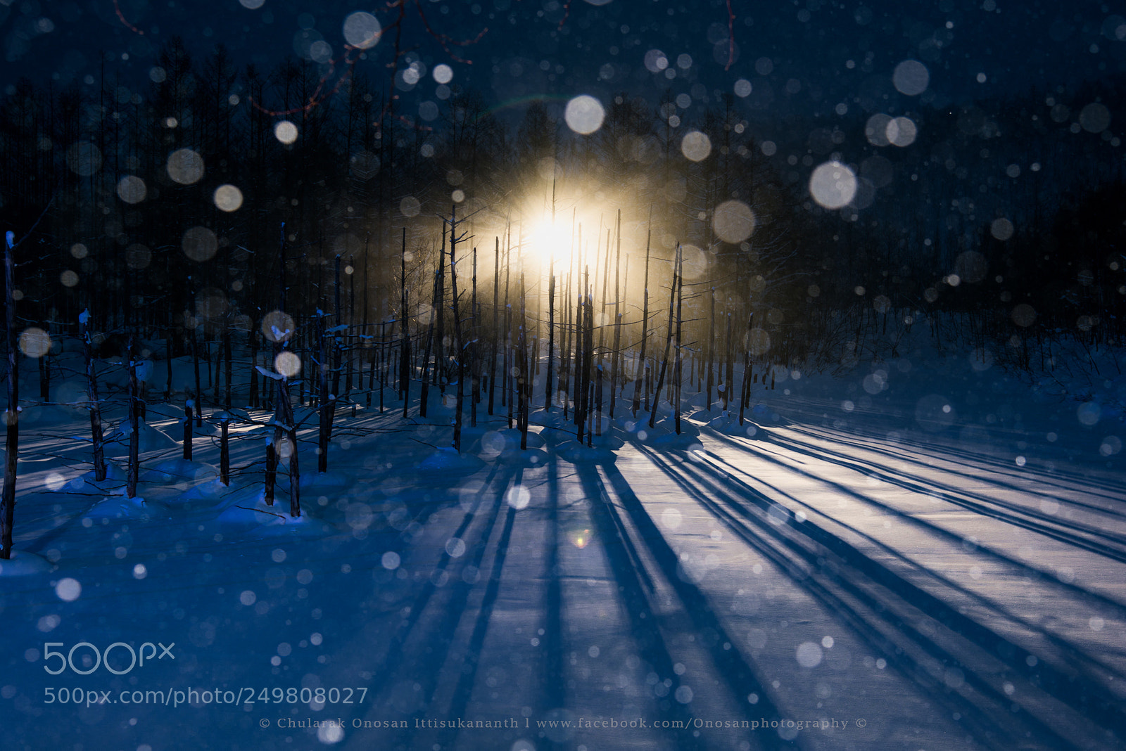 Nikon D810 sample photo. The light of blue photography