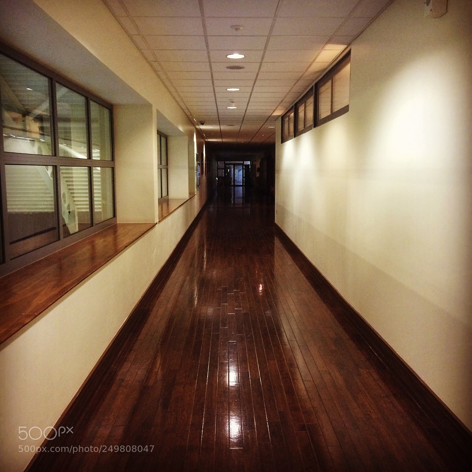 Apple iPhone 5s sample photo. Untitled photography