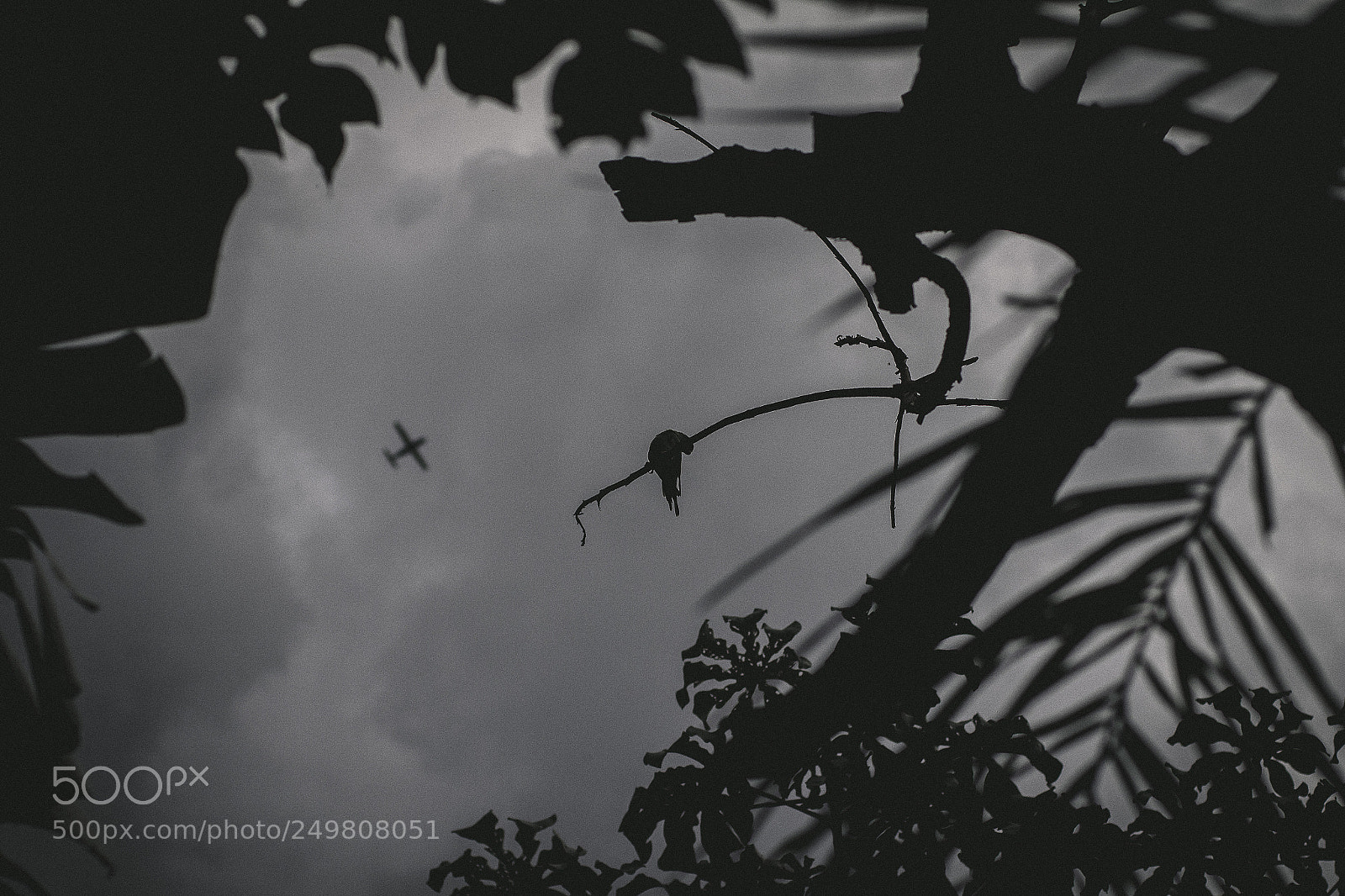 Canon EOS 700D (EOS Rebel T5i / EOS Kiss X7i) sample photo. Sinister grey sky photography