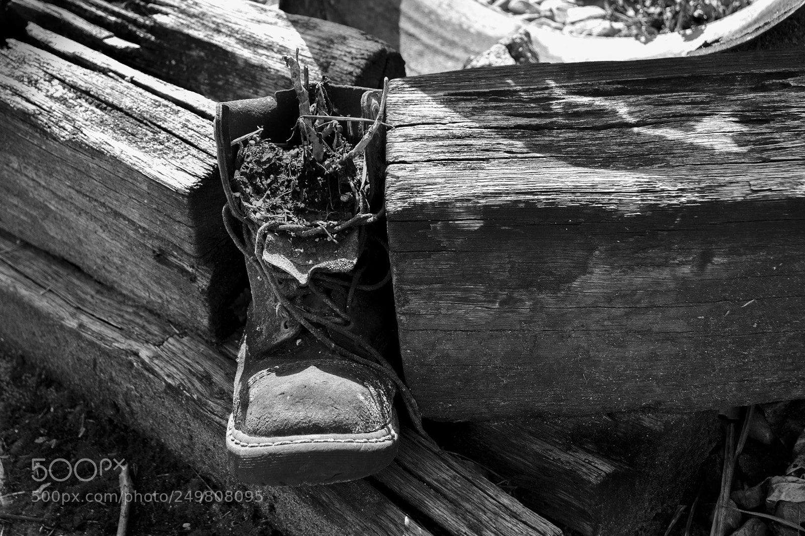 Nikon D5200 sample photo. Weathered photography