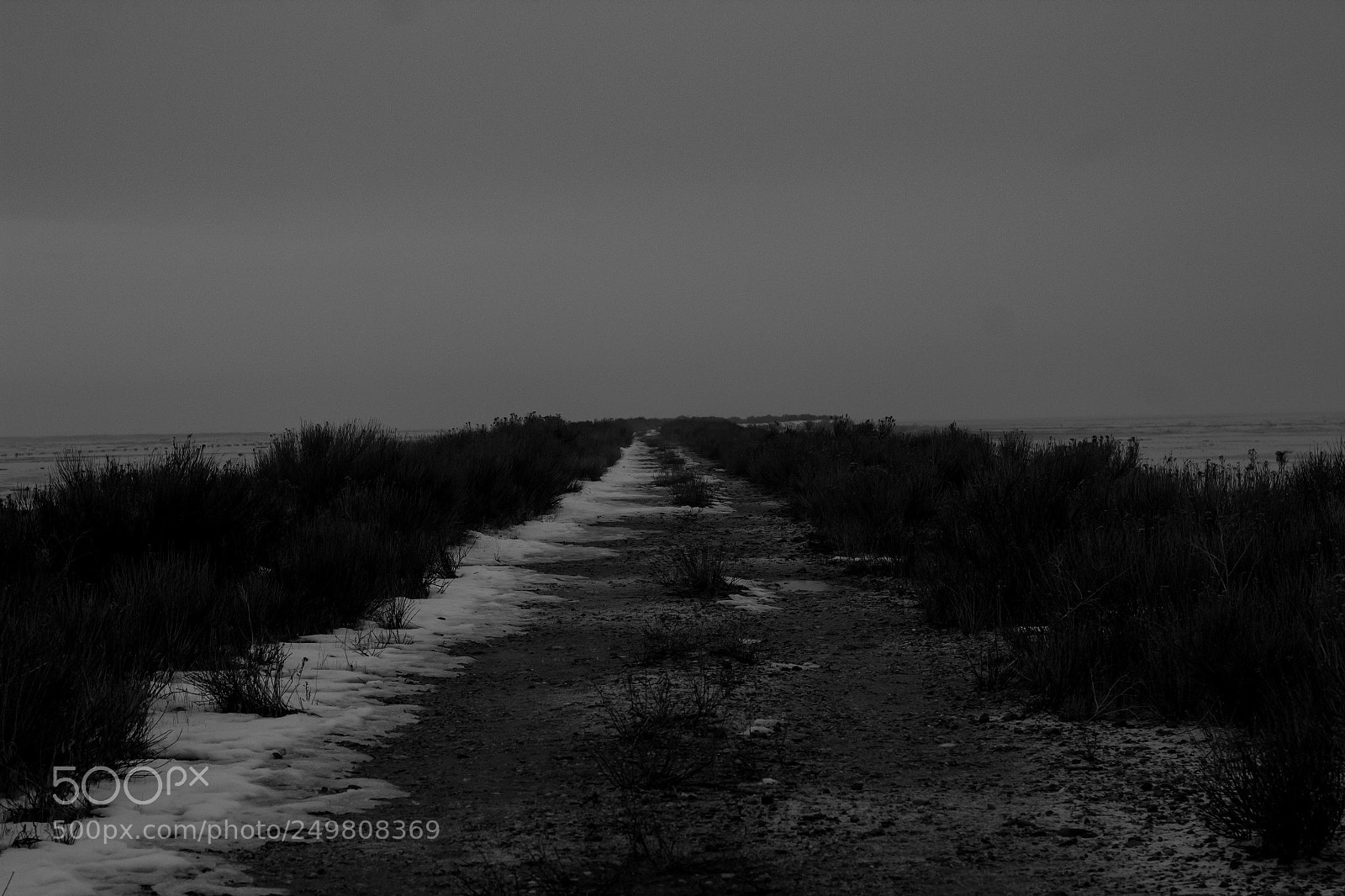 Canon EOS 1200D (EOS Rebel T5 / EOS Kiss X70 / EOS Hi) sample photo. Foggy paths photography