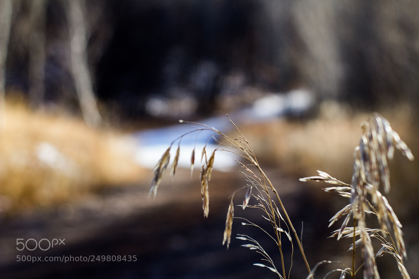 Canon EOS 1200D (EOS Rebel T5 / EOS Kiss X70 / EOS Hi) sample photo. Footpath photography