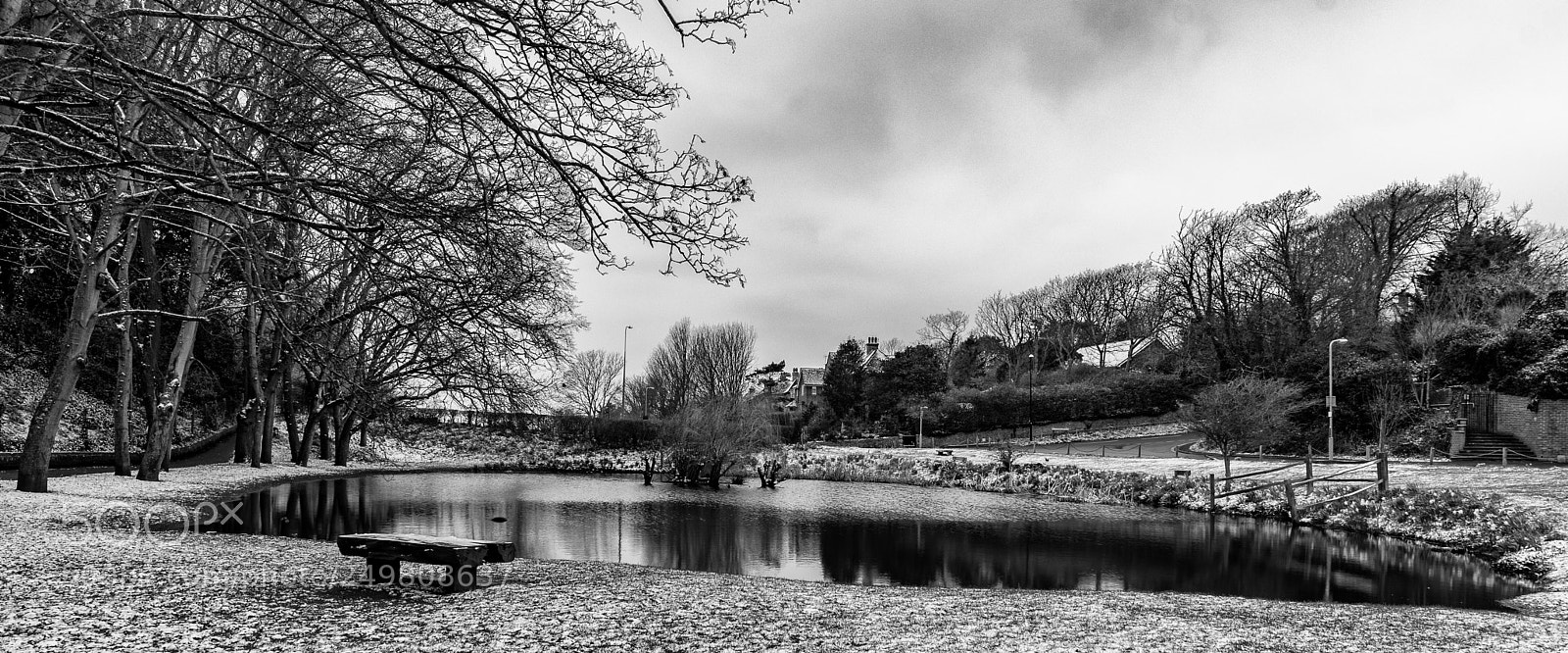 Nikon D5300 sample photo. Duck pond in winter photography