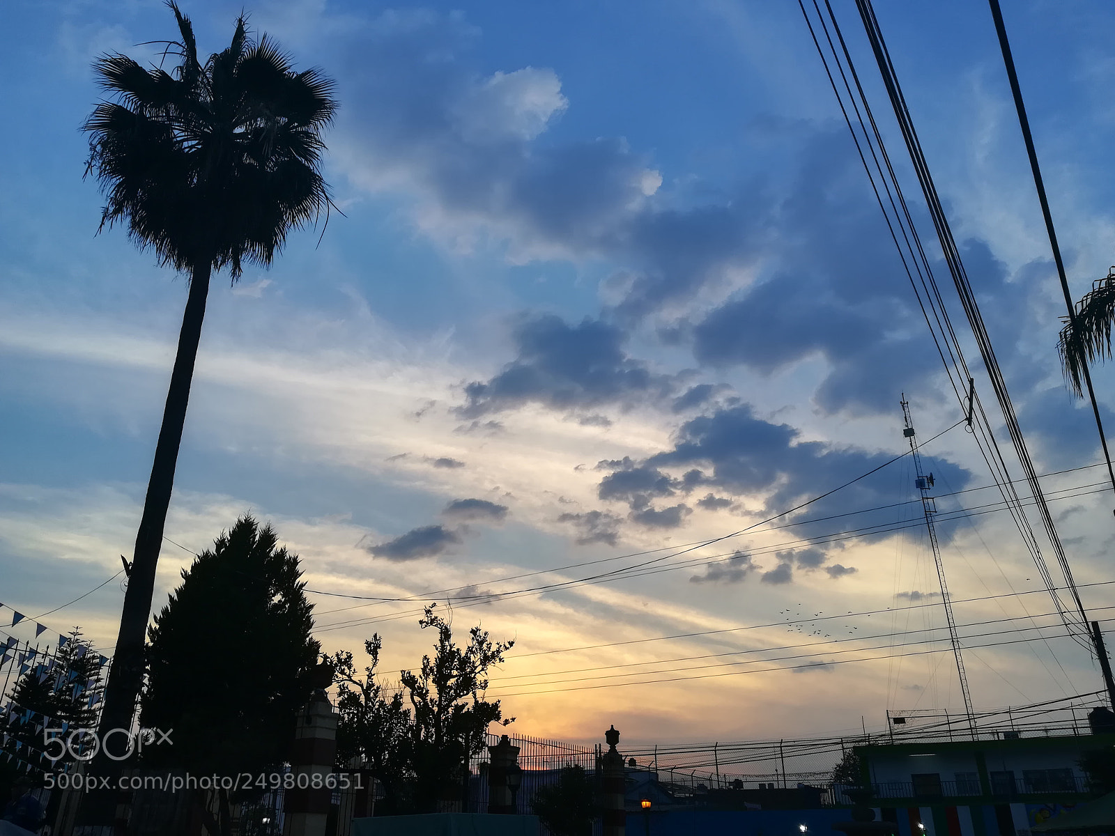 HUAWEI P10 lite sample photo. Untitled photography