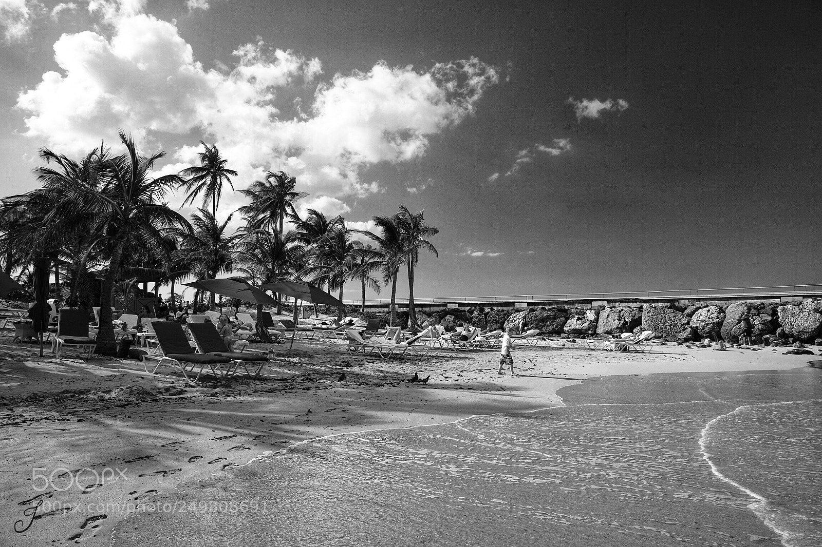 Canon EOS 5D Mark II sample photo. Beach in puerto rico photography