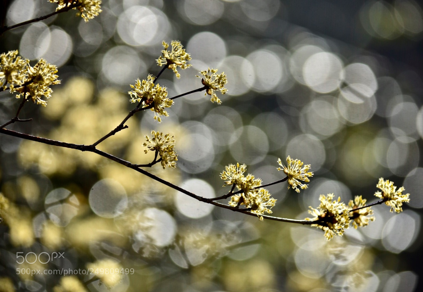 Nikon D7200 sample photo. Morning lights photography