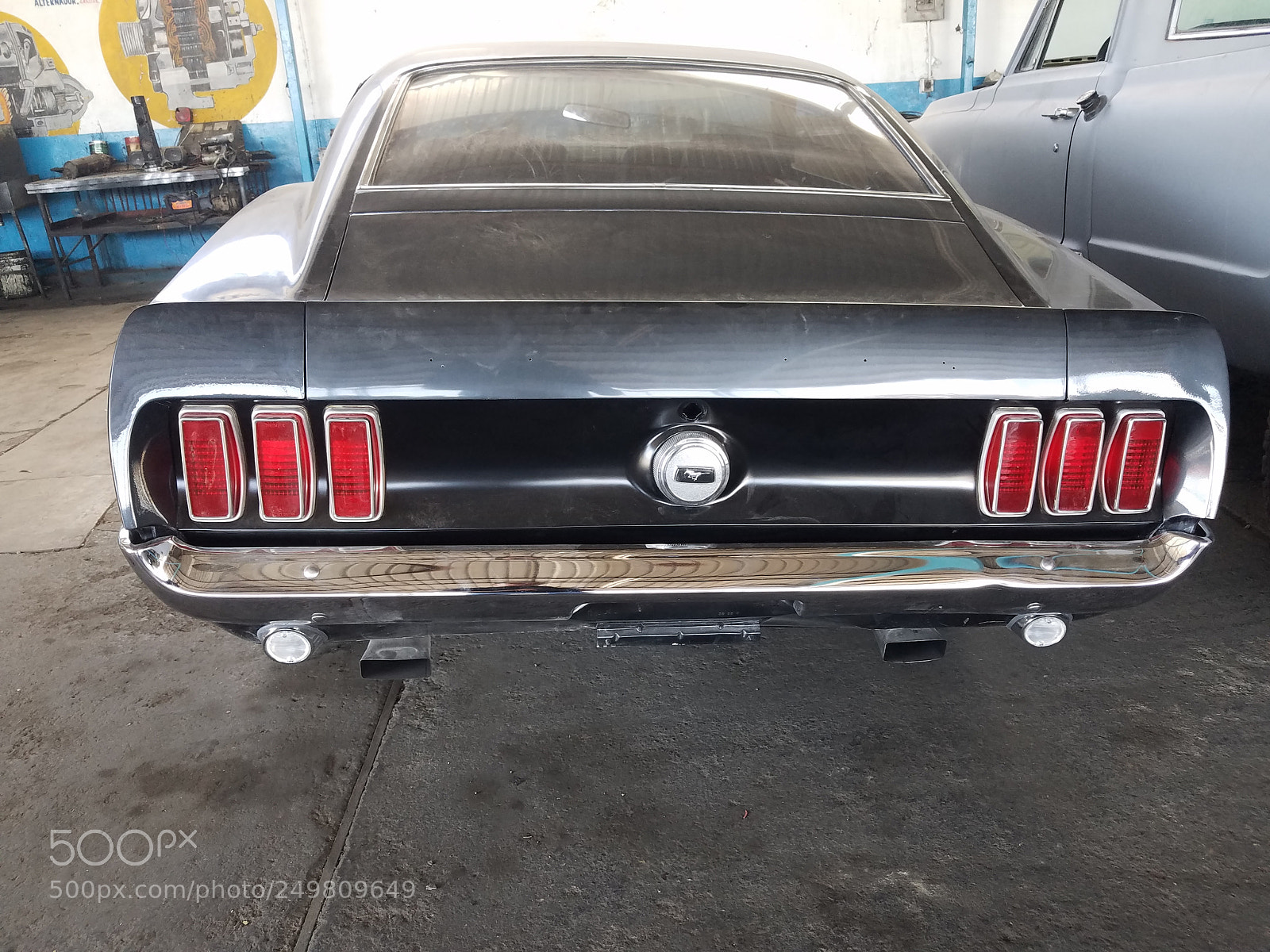 Samsung Galaxy S7 sample photo. Mustang photography