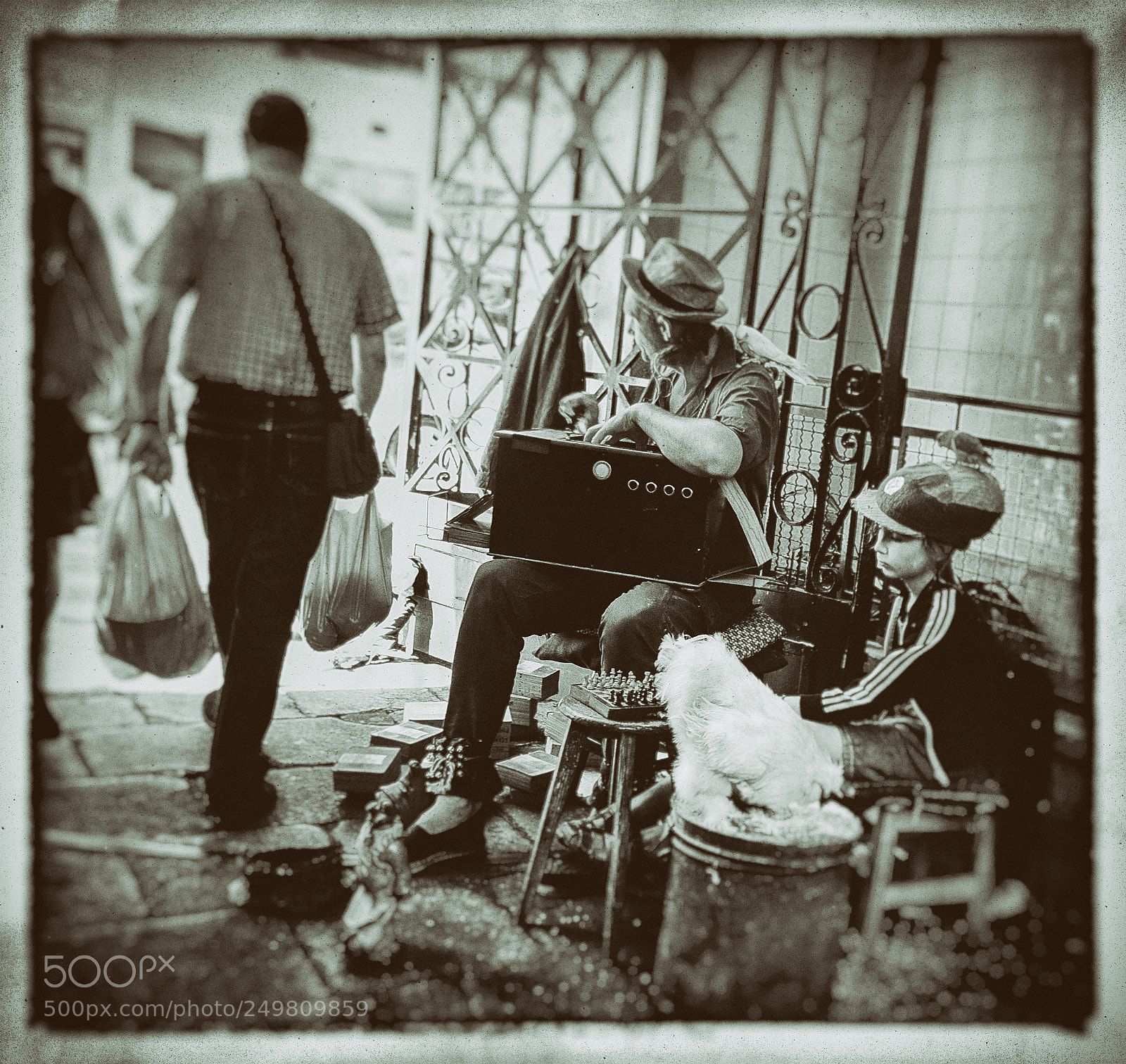 Fujifilm X-Pro1 sample photo. Porto merkat photography
