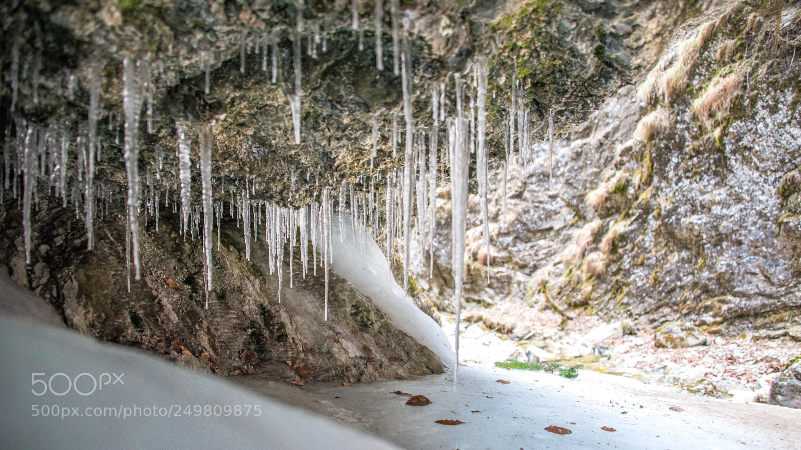 Nikon D610 sample photo. Icy world janosikove diery photography