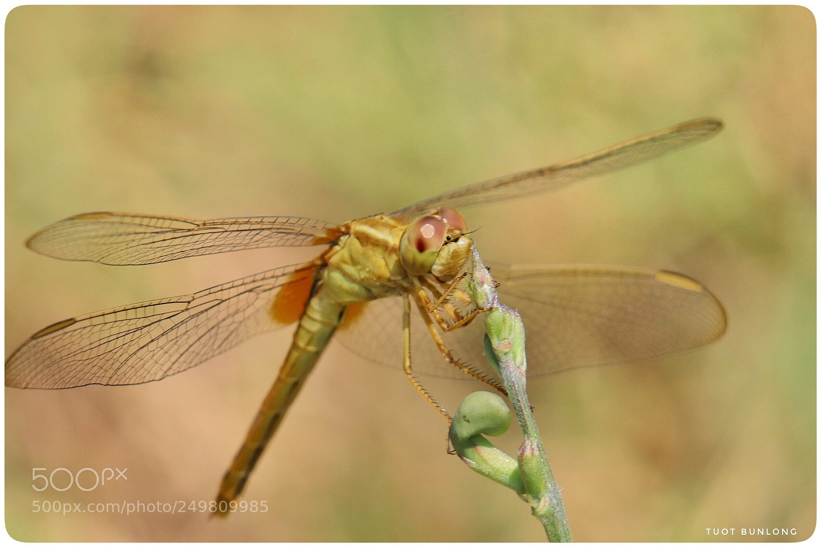Canon EOS 77D (EOS 9000D / EOS 770D) sample photo. Untitled photography
