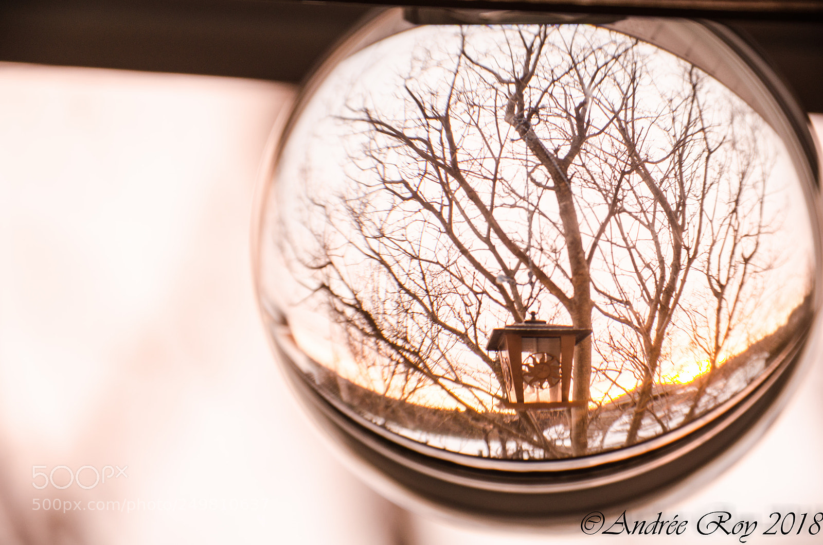 Nikon D5100 sample photo. Lensball photography