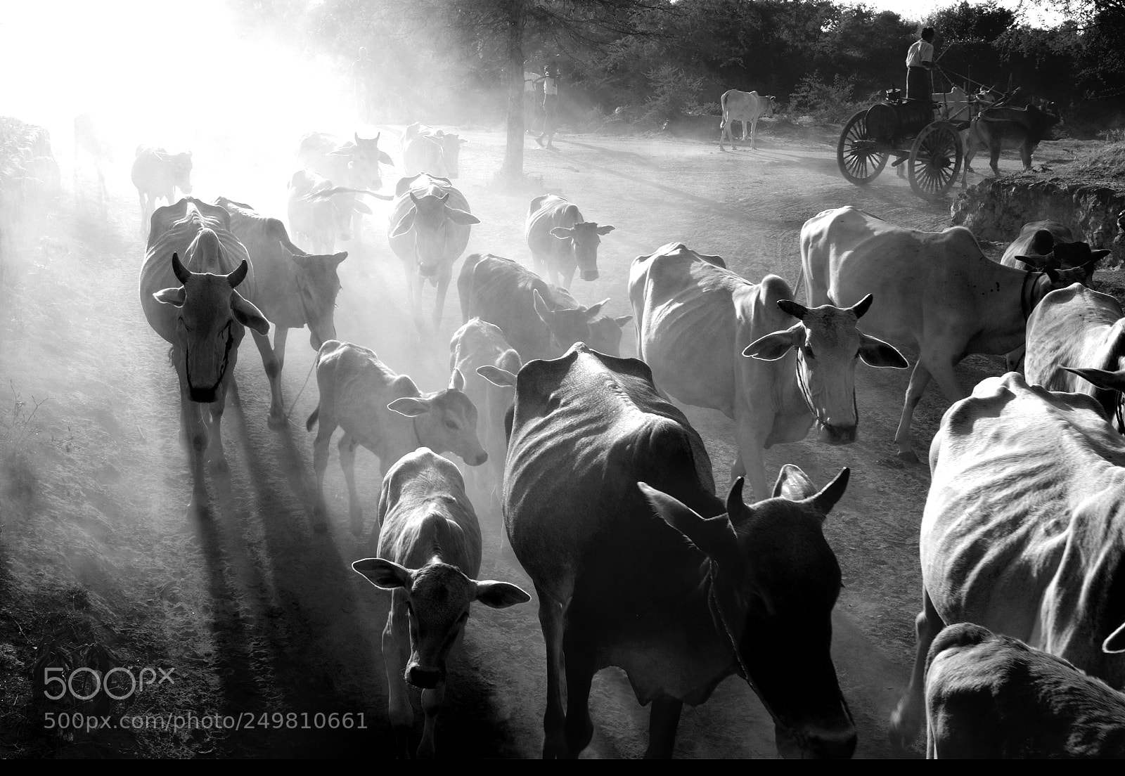 Fujifilm FinePix X100 sample photo. Myanmar photography