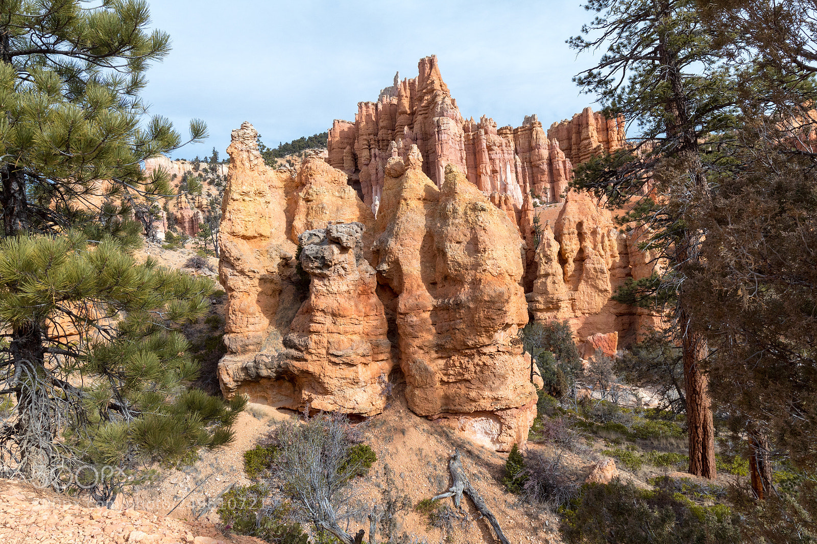 Canon EOS 1300D (EOS Rebel T6 / EOS Kiss X80) sample photo. Hoodoo fairyland loop in photography