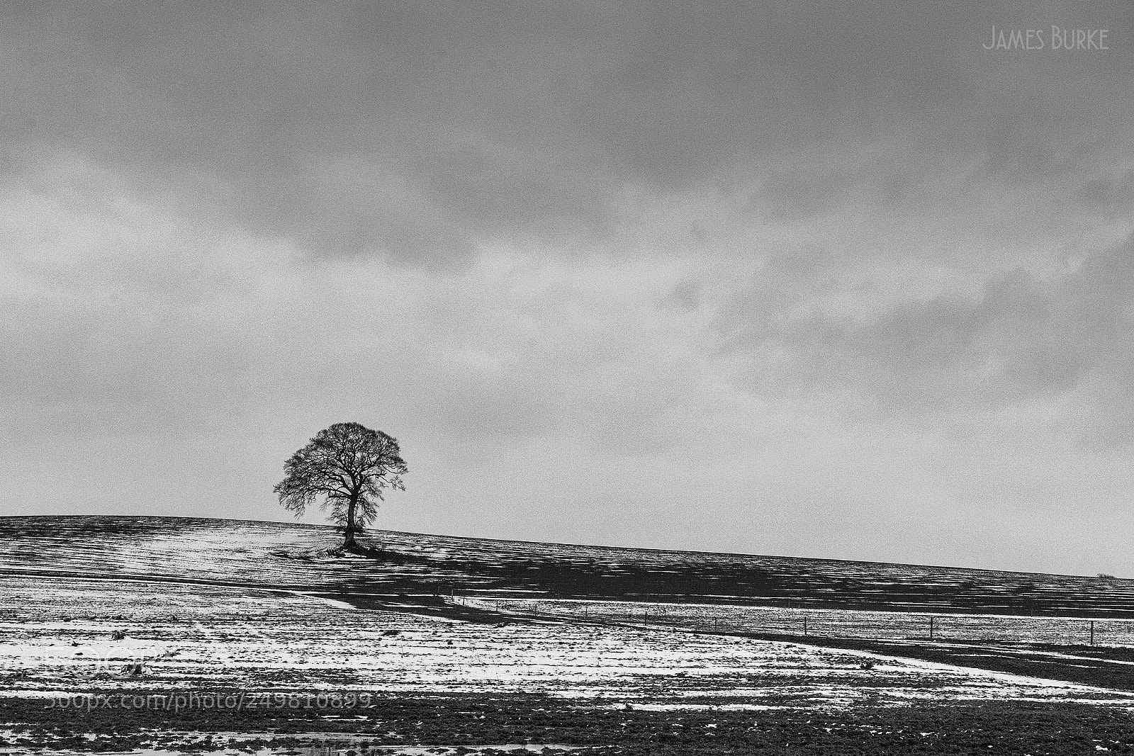 Canon EOS 5D sample photo. Lone tree photography