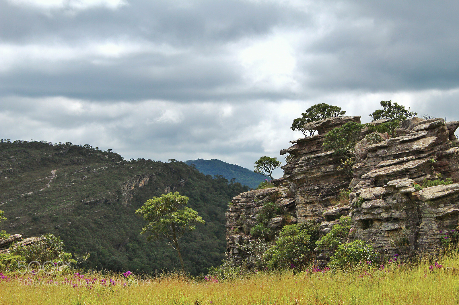 Canon EOS 100D (EOS Rebel SL1 / EOS Kiss X7) sample photo. This view is breathtaking photography
