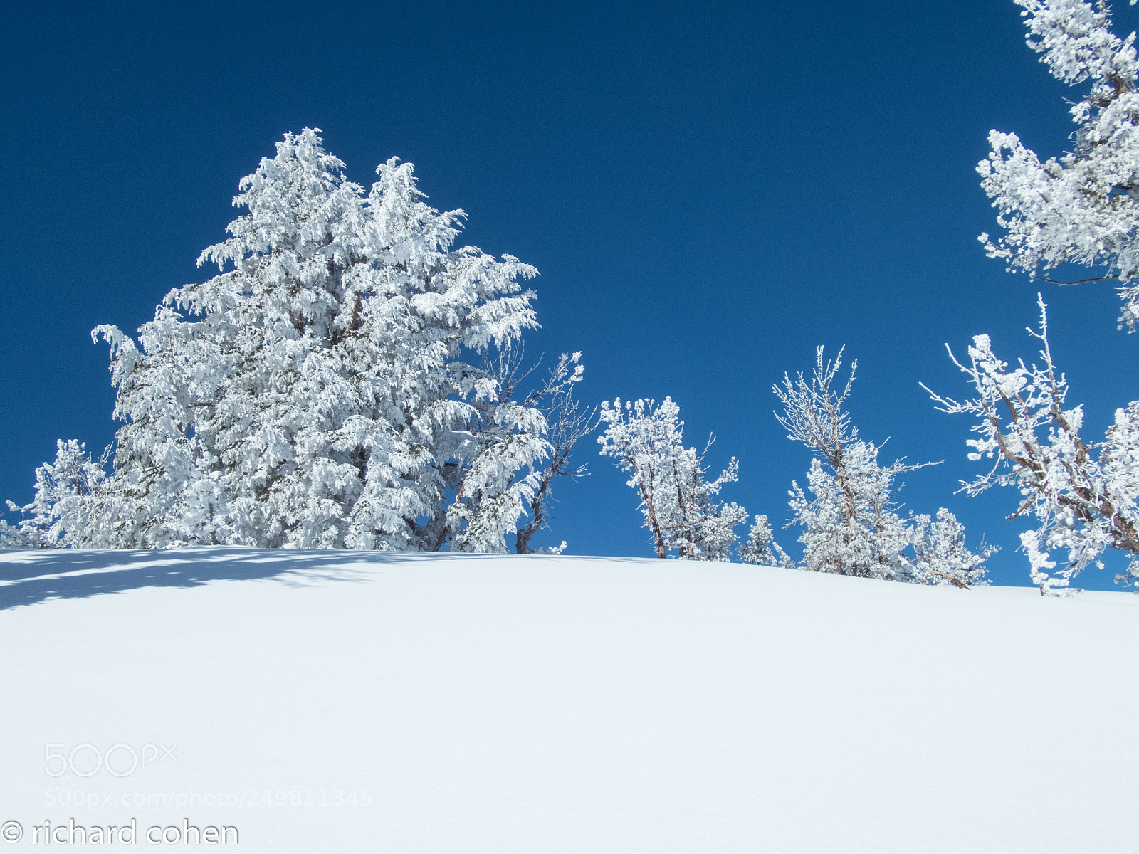 Olympus TG-4 sample photo. Winter's last stand... photography