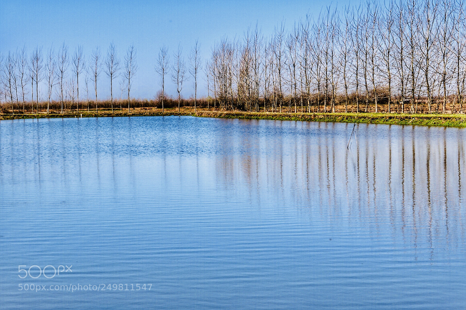 Canon EOS 750D (EOS Rebel T6i / EOS Kiss X8i) sample photo. Lakeside6 photography