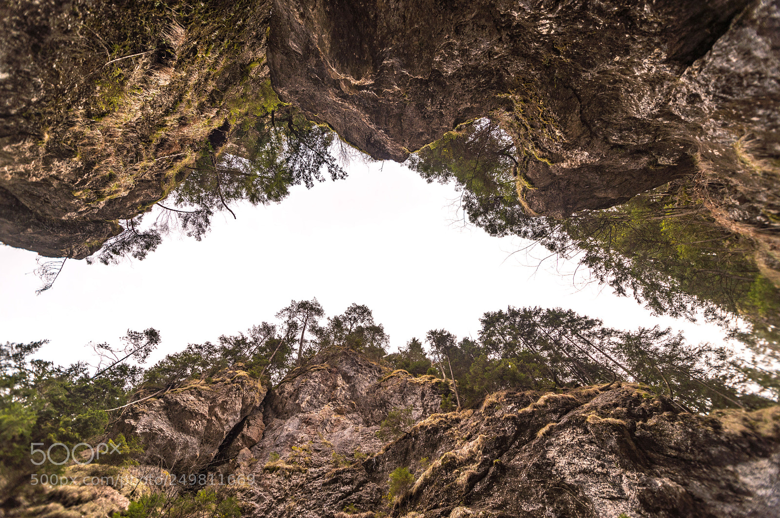 Nikon D610 sample photo. Look up panorama photography
