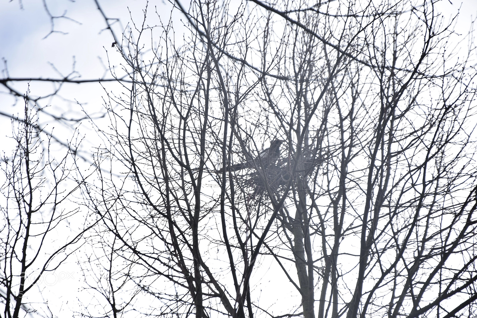 Nikon D5300 sample photo. Unusual study day photography