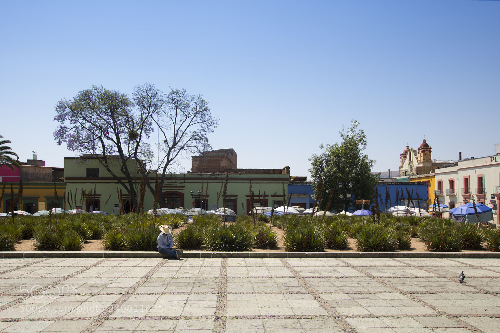 Canon EOS 750D (EOS Rebel T6i / EOS Kiss X8i) sample photo. Oaxaca de juarez photography
