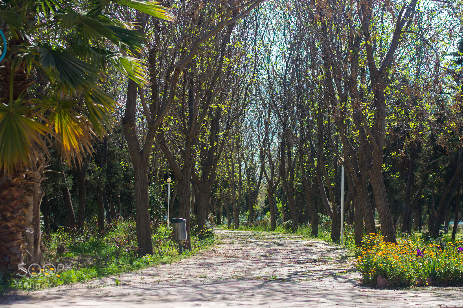 Nikon D7200 sample photo. Simple and beautiful photography