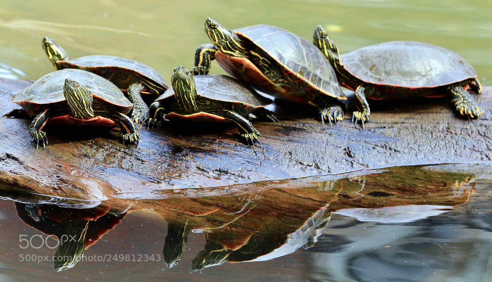 Canon EOS 7D Mark II sample photo. Reflection photography