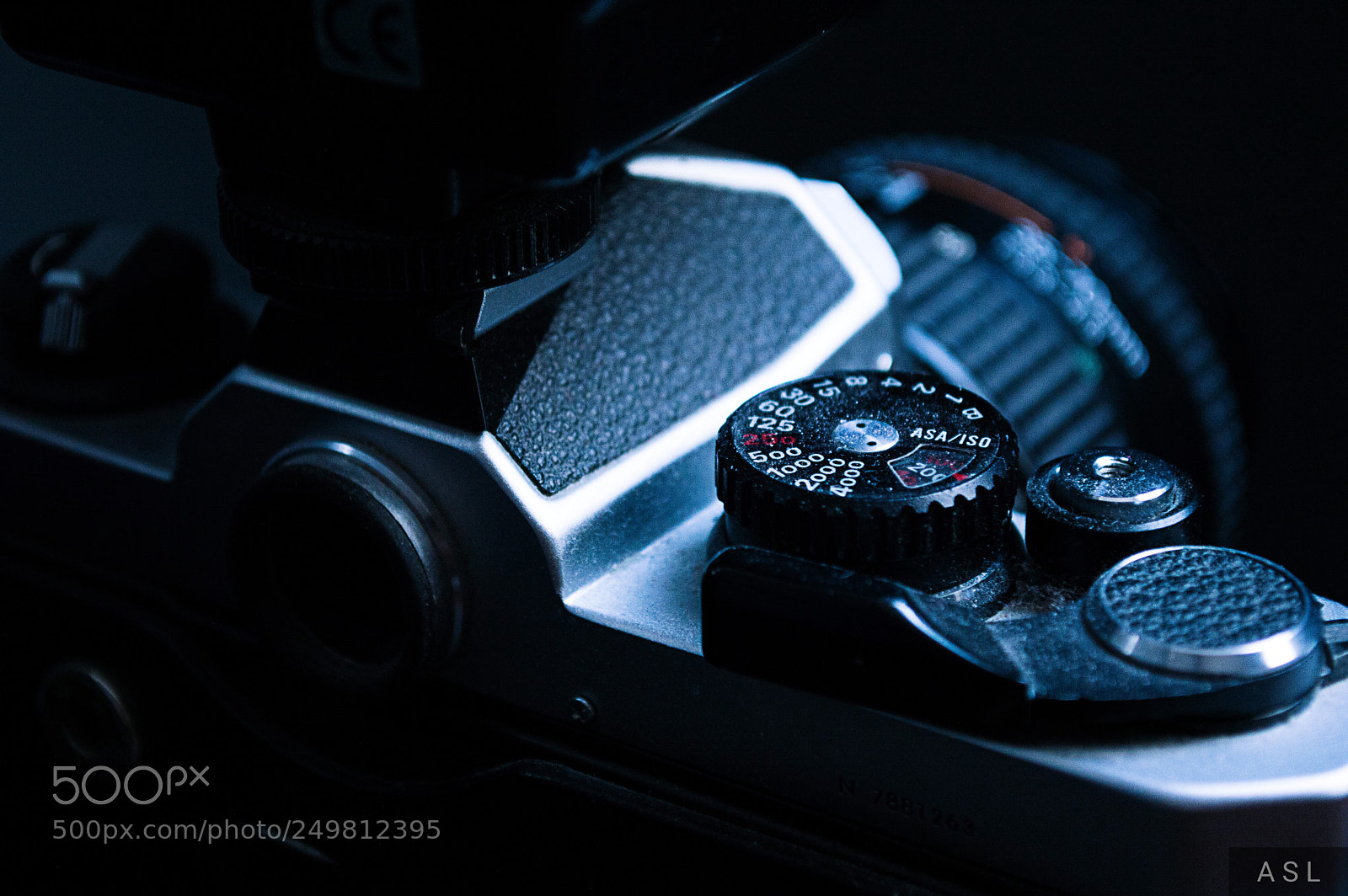 Nikon D3200 sample photo. Camera1 photography