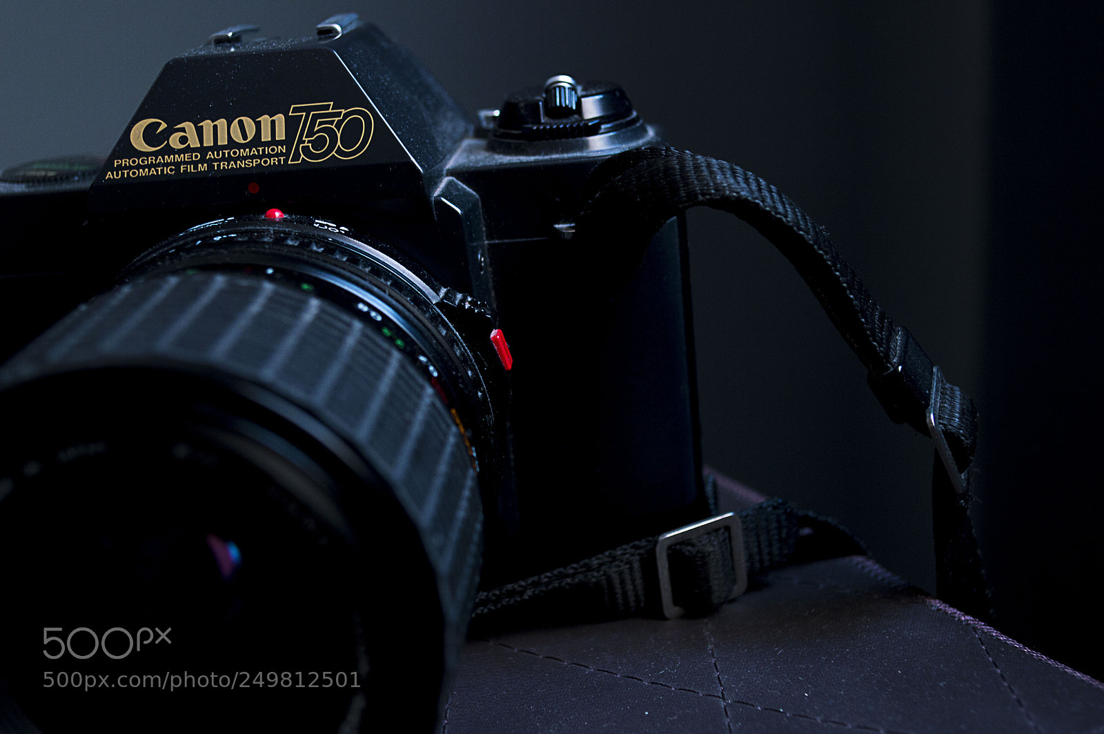 Nikon D3200 sample photo. Camera2 photography