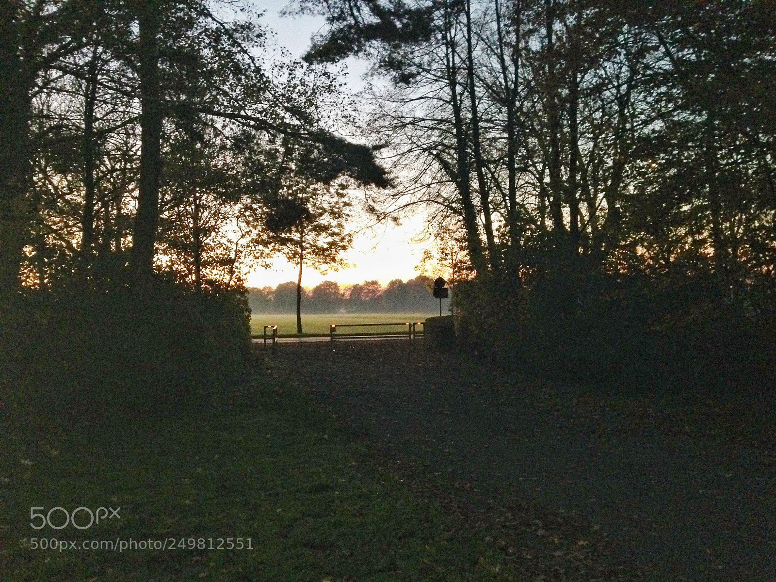 Apple iPhone 5c sample photo. A winter stroll  photography