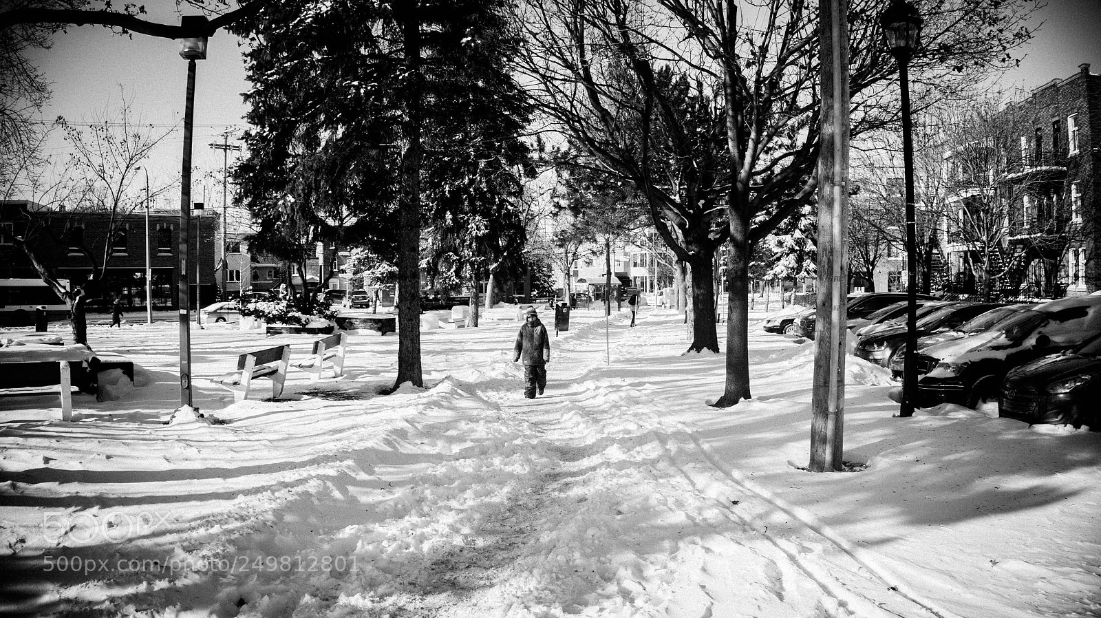 Sony Alpha a3500 sample photo. Montreal photography