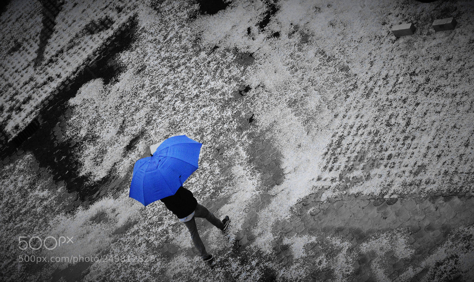 Nikon D3200 sample photo. Snow photography