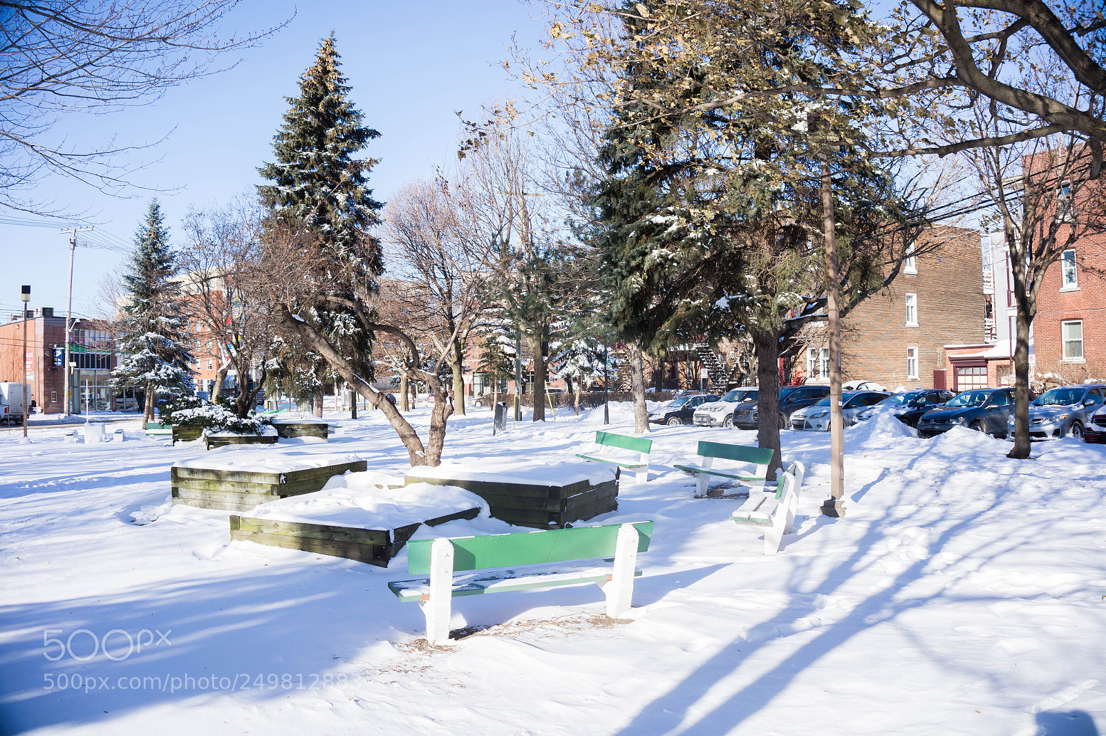Sony Alpha a3500 sample photo. Montreal photography