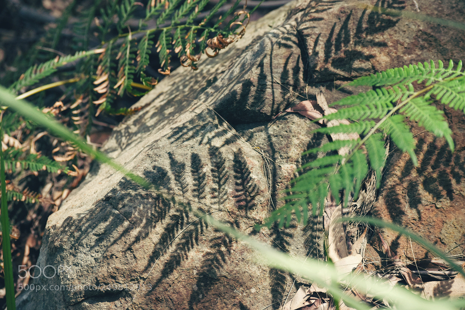 Nikon D5500 sample photo. Rock shadow photography