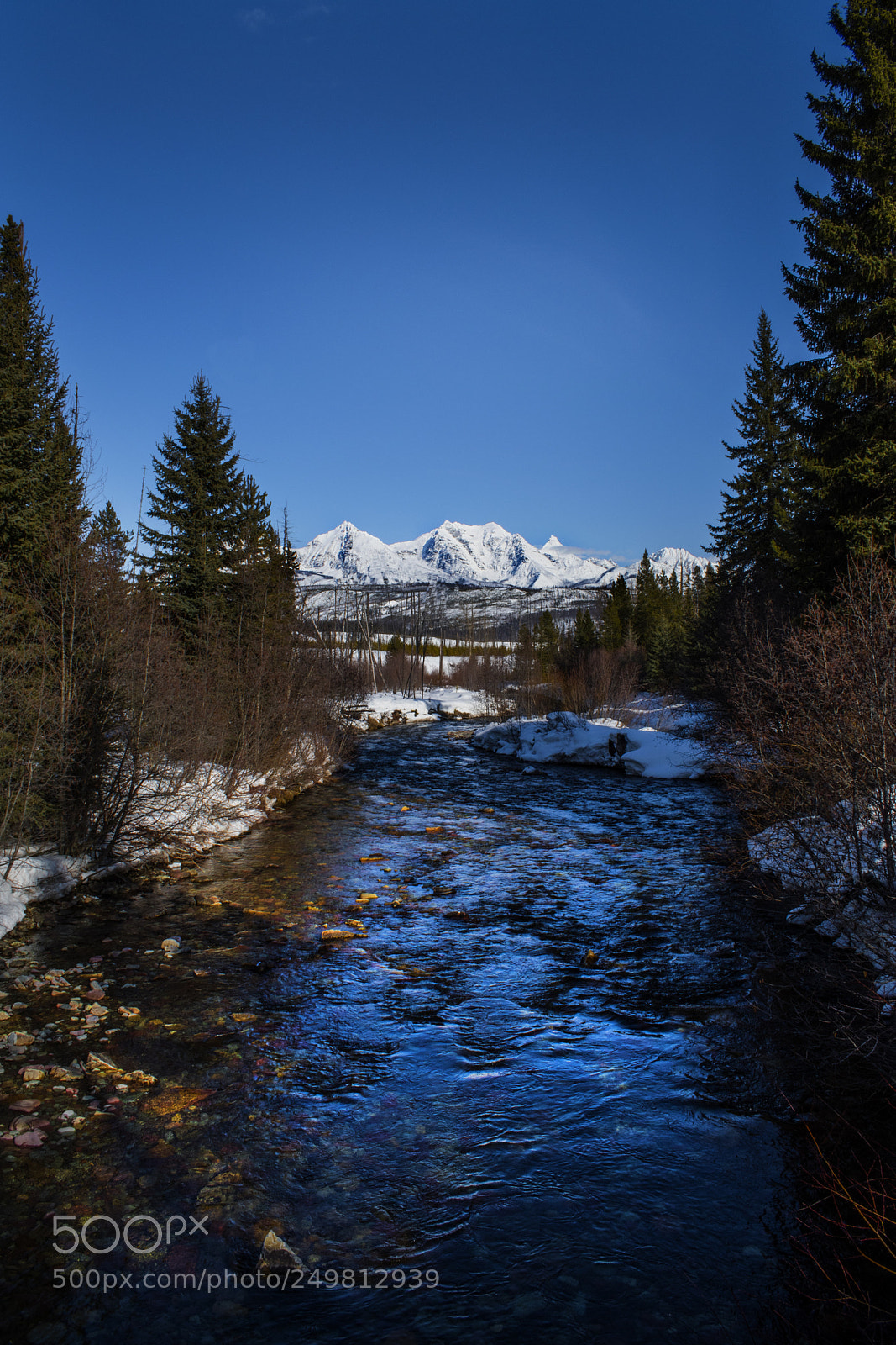 Nikon D5600 sample photo. Livingston mountain range. photography