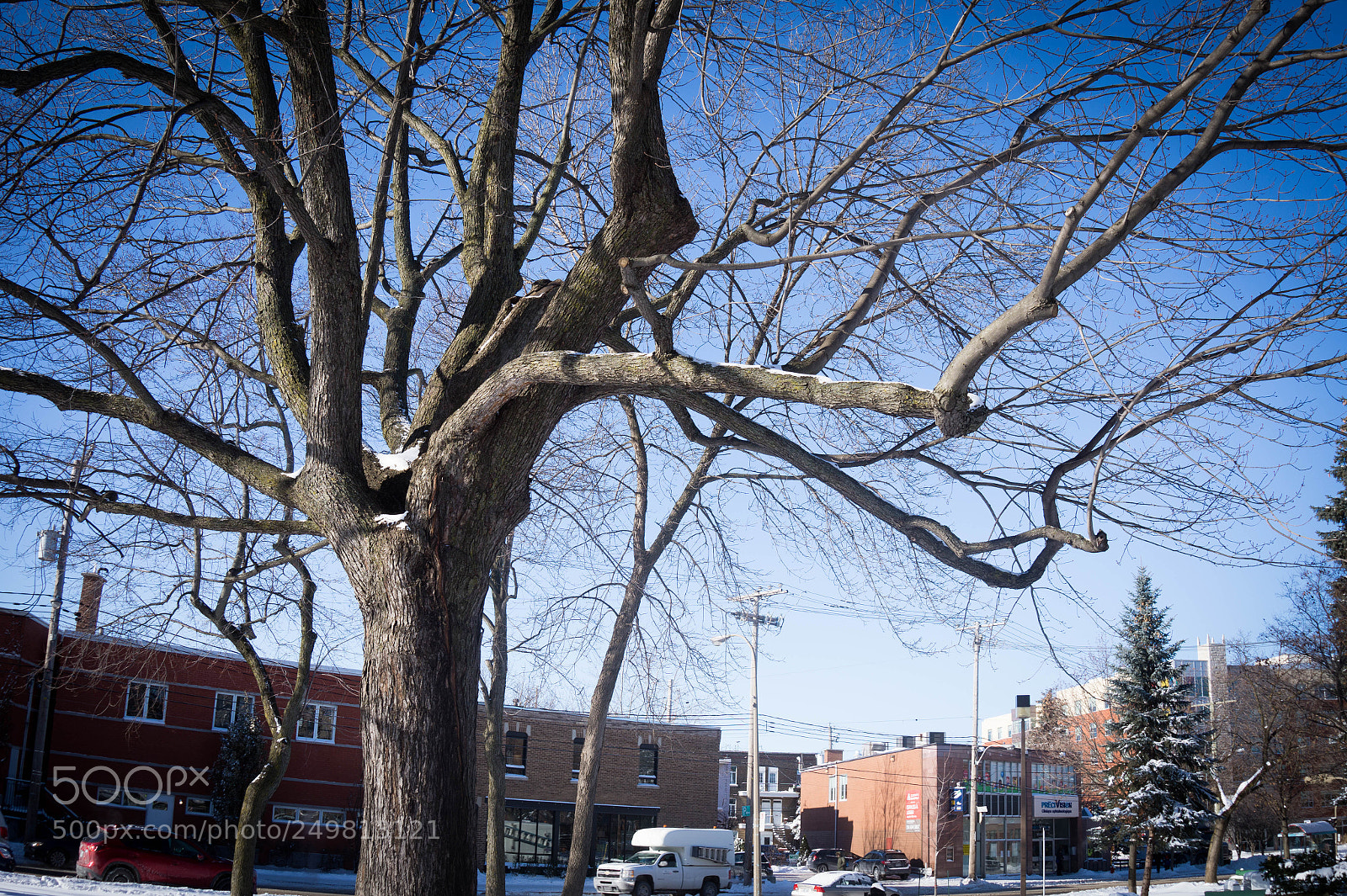 Sony Alpha a3500 sample photo. Montreal photography