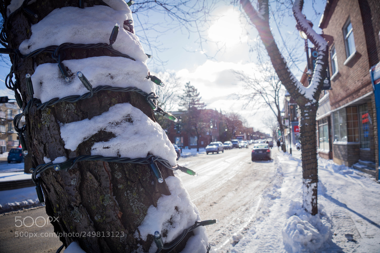 Sony Alpha a3500 sample photo. Montreal photography