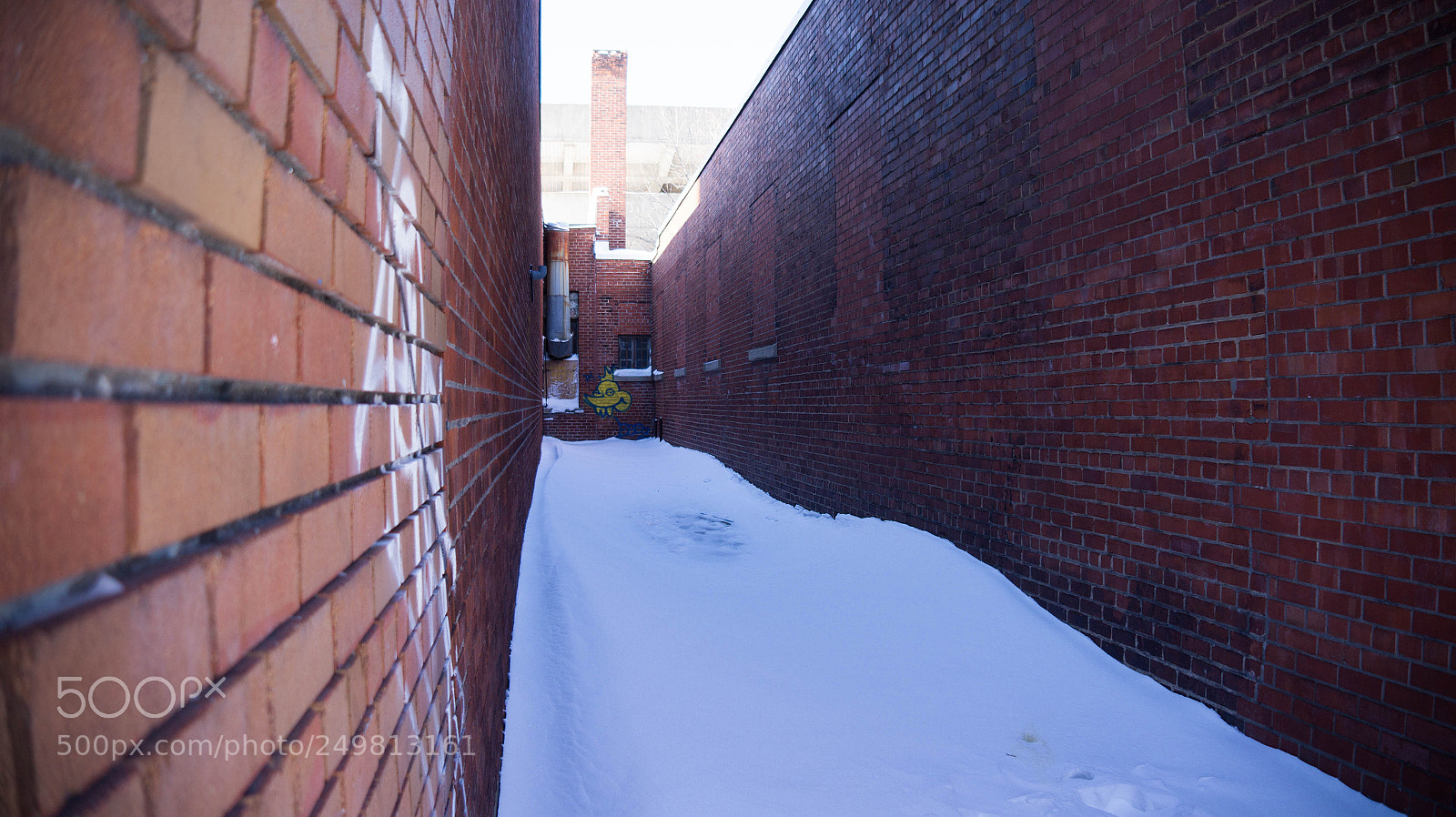 Sony Alpha a3500 sample photo. Montreal photography
