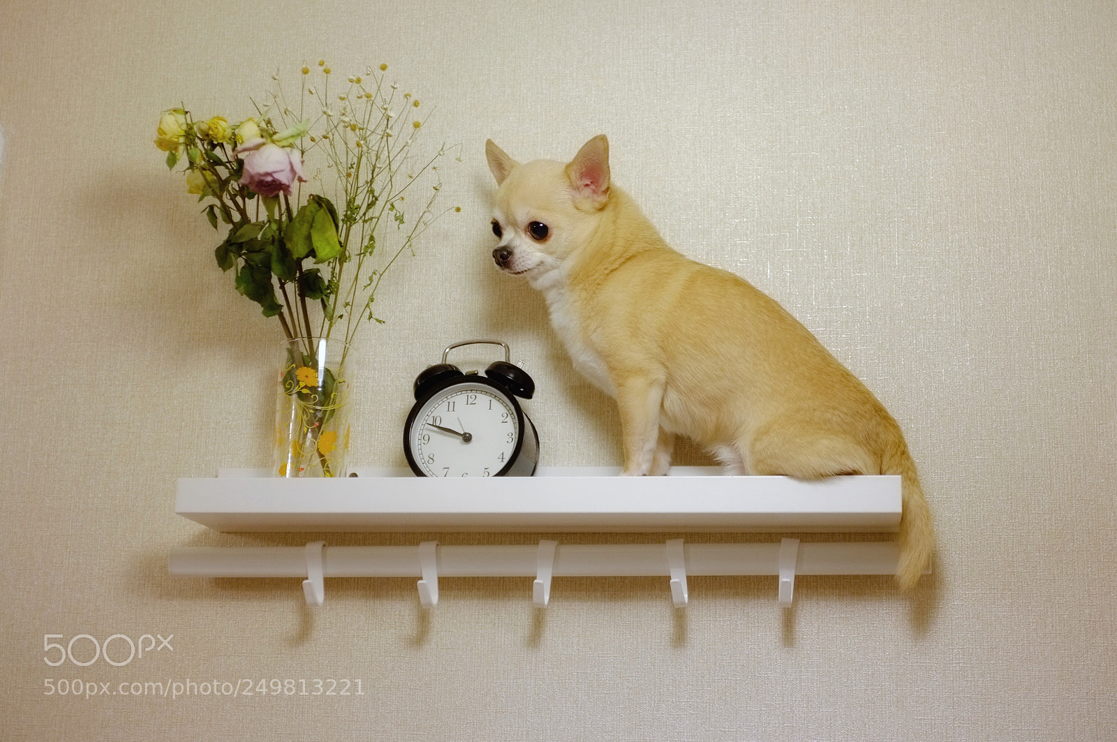 Fujifilm FinePix X100 sample photo. Untitled photography